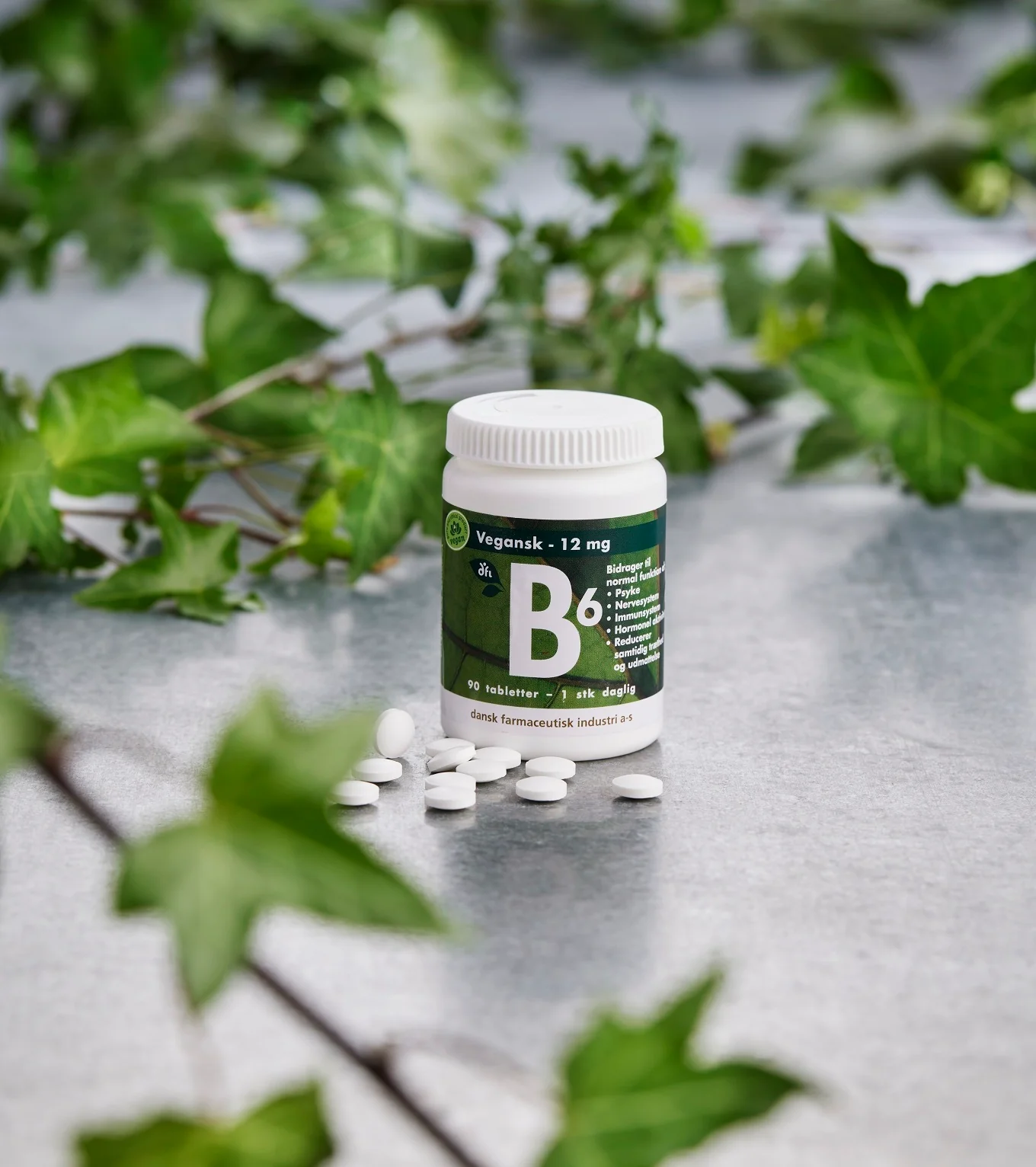 Vitamin B6 12 mg vegan