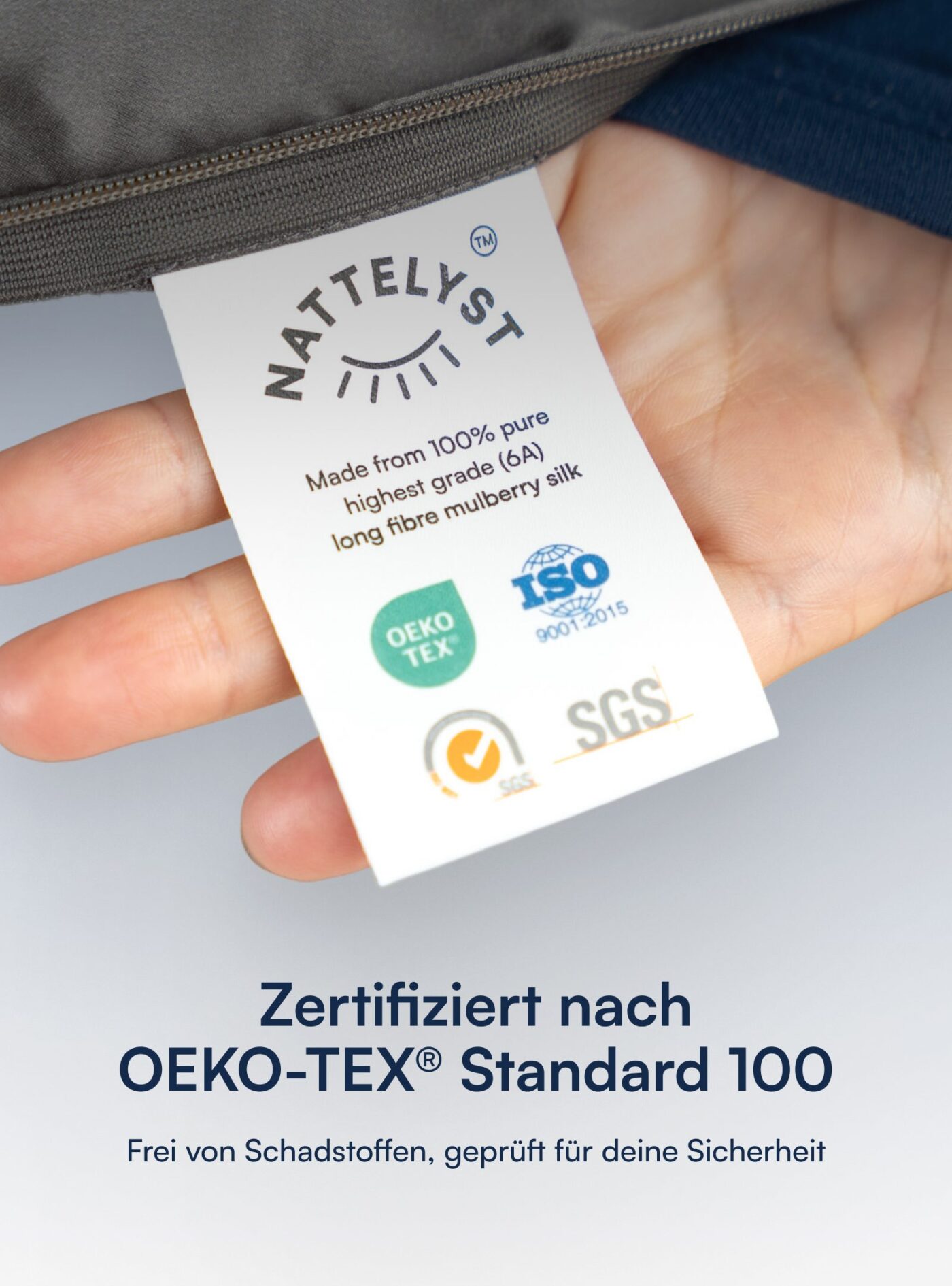 Kissenbezug aus 100 % Maulbeerseide (OEKO-TEX) Beige